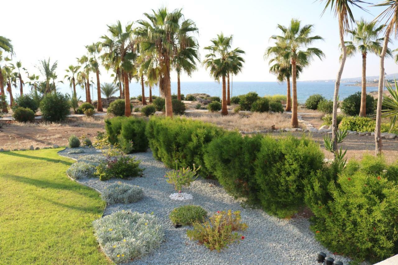 Yulya Villa By Taimoura Paphos Exterior foto
